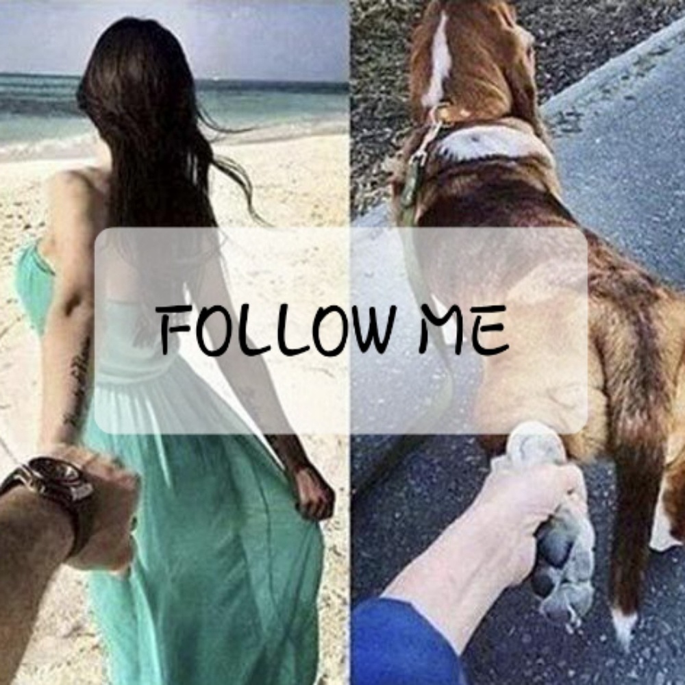 LIKE✔SHAREFOLLOW ✔